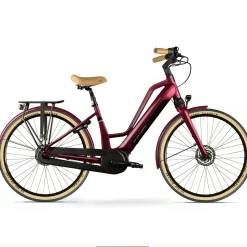 Vélo électrique E-Exclusive - 625Wh (2022)