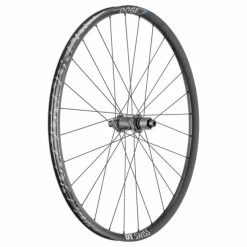 Dt-swiss Roue Arrière VTTAE DT Swiss H 1900 Spline 29" Shimano MS 12V
